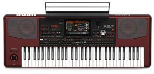 Korg Pa5x 76-Note Professional Arranger Keyboard