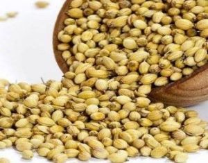 Coriander Seeds