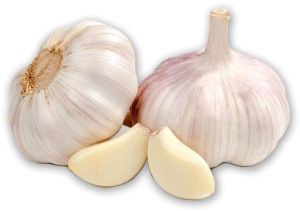 Fresh Garlic