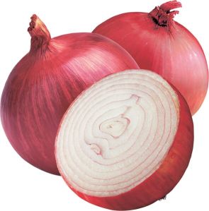 Onion