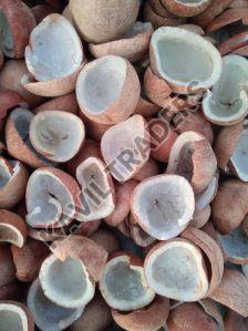 Dried Copra Coconut