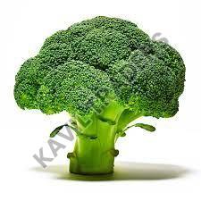 Fresh Broccoli