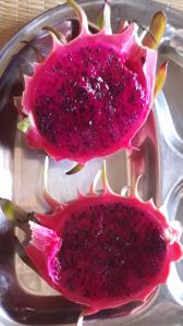 red fresh dragon fruit