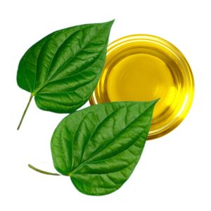 Betel Leaf  Oil