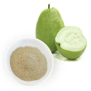 Spray Dried Guava Powder