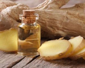 Ginger Essential Oil