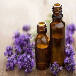 Kashmir Lavender Essential Oil