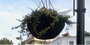 Hanging Basket Coco Liner