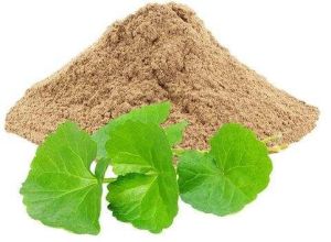 Brahmi Powder