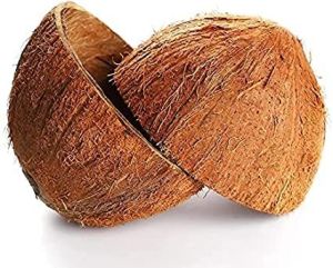 Coconut Shells