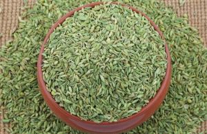 Fennel Seeds