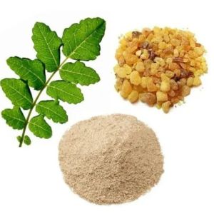 boswellia powder