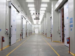 CA Cold Storage Services