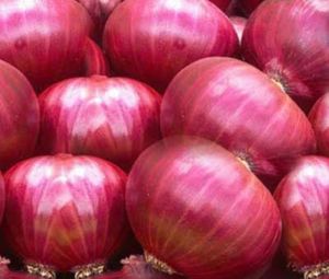 Onion