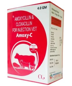 AMOXYCILLIN AND CLOXACILLIN INJECTION