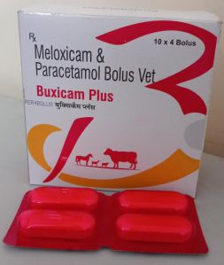 meloxicam paracetamol bolus