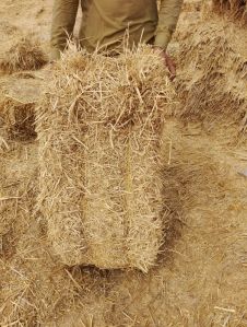 Rice Straw Bales