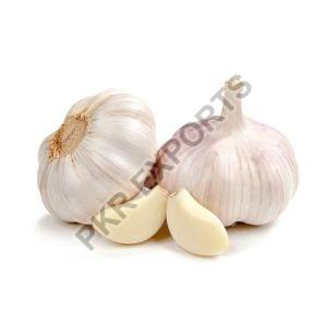 fresh garlic