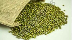 Green Gram Dal {Moong Dal} Algae Lentils
