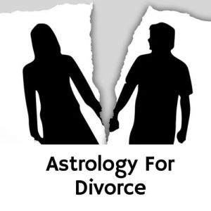 Divorce Astrology Services
