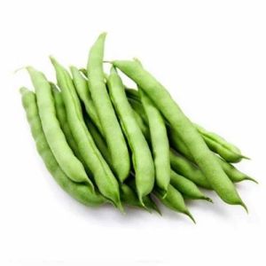 Fresh Green Bean