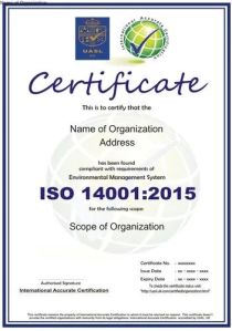 Management Certification Service