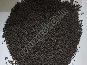 Black Mustard Seeds