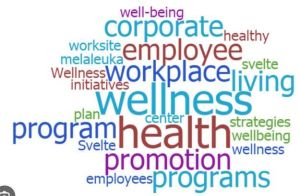 Wellness Program Services