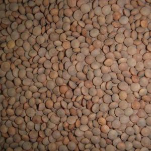 Black Masoor Dal