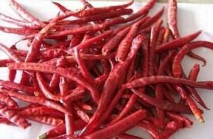 Raw Dried Red Chilli