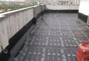 roof waterproofing services