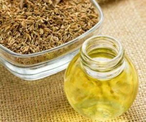 Caraway Oil