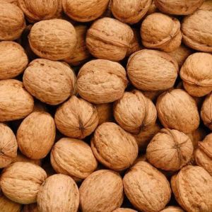 Walnuts