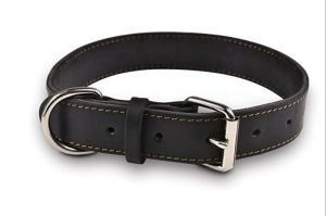 Leather Dog Collars