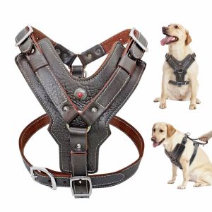 Leather Dog Harness