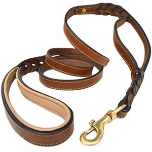 Leather Dog Leashes