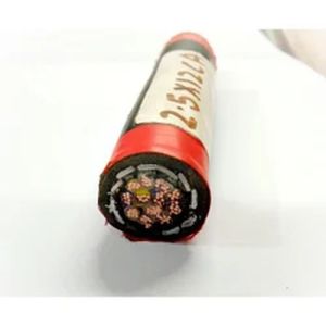 2.5 Sq Mm 8 Core Copper Armoured Cable