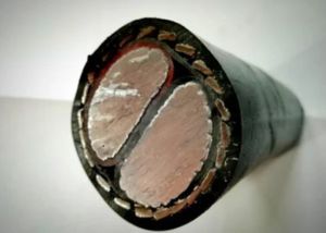 300 Sq Mm 2 Core Aluminium Armoured Cable