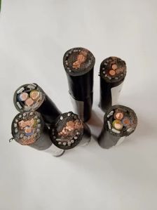 6 Sq Mm 2 Core Copper Lt Xlpe Armoured Cable