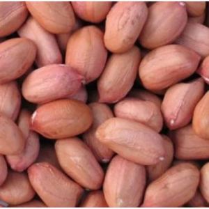 natural sweet taste g20 bold groundnut