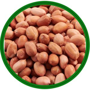 Raw G20 Bold Groundnut