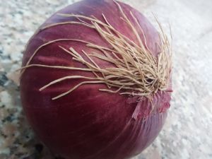 Fresh Red Onion