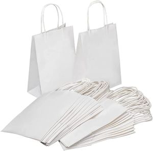Plain White Twisted Handle Paper Carry Bag