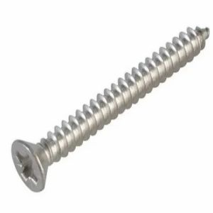 Stainless Steel Screw