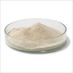 Agar Agar Powder