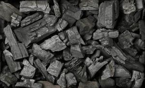 Apple Charcoal Briquettes