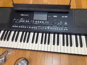 Korg PA300 Professional Arranger Keyboard