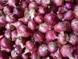 Fresh Golta Onion
