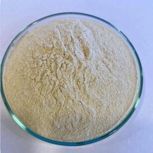 General Vitamin Premix Powder