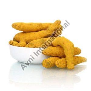 Turmeric Finger